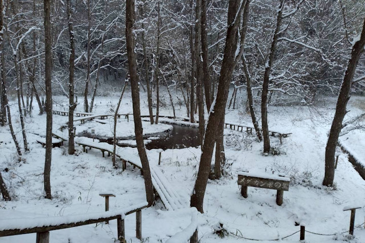 �V�_�̗���i�F